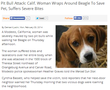 calif woman wraps around a beagle to save pet